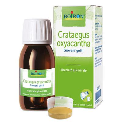 Crataegus Oxyacantha Macerato Glicerico 60 Ml Int