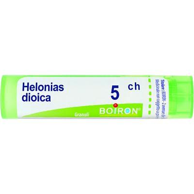 Helonias Dioica 5 Ch Granuli