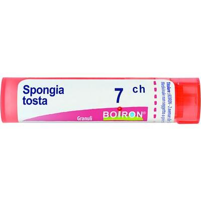 Spongia Tosta 7 Ch Granuli
