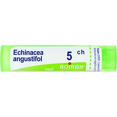 Echinacea Angustifolia 5 Ch Granuli