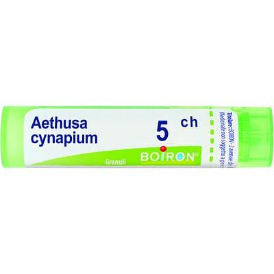 Aethusa Cynapium 5 Ch Granuli