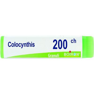 Colocynthis 200 Ch Globuli