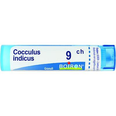Cocculus Indicus 9 Ch Granuli