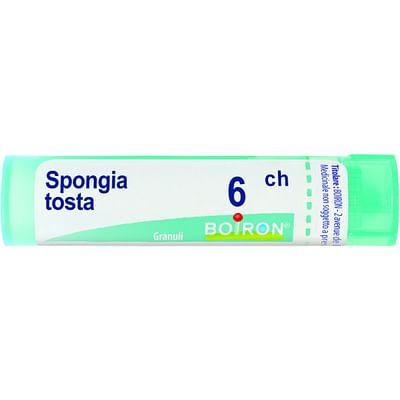 Spongia Tosta 6 Ch Granuli