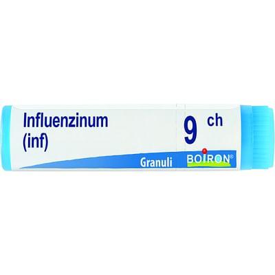 Influenzinum 9 Ch Globuli 1 Dose