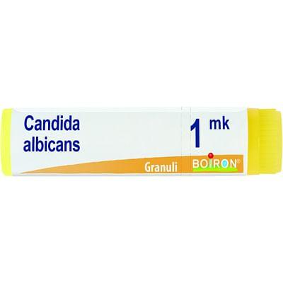 Candida Albicans Mk Globuli