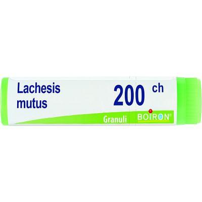 Lachesis Mutus 200 Ch Globuli