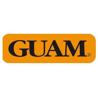 Guam T Shirt Snell Addome Piatto Uomo L Xl 50 52