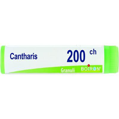 Cantharis 200 Ch Globuli