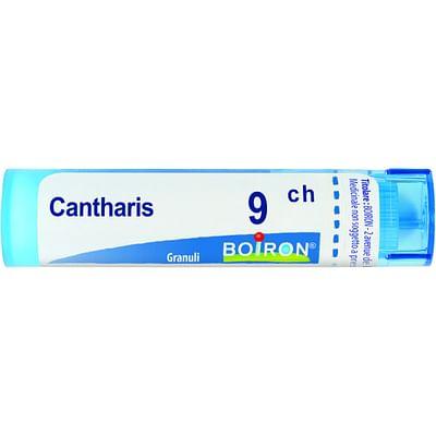 Cantharis 9 Ch Granuli